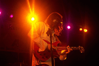 Robben Ford Discussion Forum Index